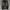 66girls baggy jeans photo 1