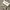 Aldo goasa women ballet flat shoes photo 1