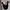black tank bkk photo 6