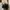 FILA RAYTRACER photo 6