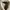 Adidas Yeezy 500 photo 5
