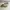 Adidas Yeezy 500 photo 4