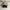 Adidas Yeezy 500 photo 1