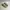 Adidas Yeezy 500 photo 2