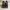 Adidas Yeezy Desert Rat 500 photo 7