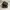 Adidas Yeezy Desert Rat 500 photo 1