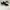 NIKE AIRMAX OKETO photo 4