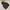 Jacket winter mountain parka goose down bulu angsa POLham photo 2