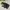Jacket winter mountain parka goose down bulu angsa POLham photo 1
