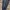 Adidas x Yeezy Calabasas "Kanye West" Track Pants  photo 4