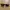 Cat Eye sunnies photo 1