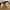 Cat Eye sunnies photo 3