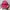 Topi Fashion Karakter Elstinko No Tag Topi Pink Hitam Monste photo 1
