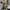 Hoodie BAPE Shark Full Zip Camo Premium – Streetwear Unisex photo 3