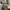 Hoodie BAPE Shark Full Zip Camo Premium – Streetwear Unisex photo 2