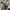 Hoodie BAPE Shark Full Zip Camo Premium – Streetwear Unisex photo 4