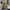 Hoodie BAPE Shark Full Zip Camo Premium – Streetwear Unisex photo 1