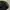 Adidas Fashion Small Logo Black Army photo 3