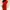 One Shoulder Drape Dres photo 4