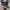 New Balance 327 Black Grey photo 2