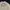 WHO.A.U Womens Cropped Sweatshirt Beige Original photo 3