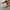 Zara Trafaluc Suede Flat Genuine Leather 38 photo 4