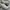 Salomon XT6 Goretex photo 2