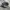 SALOMON S-LAB XT6 photo 1