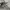 SALOMON S-LAB XT6 photo 4