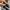 SALOMON S-LAB XT6 photo 7