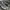SALOMON S-LAB XT6 photo 2