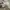 SALOMON S-LAB XT6 photo 4