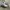 SALOMON S-LAB XT6 photo 1