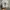 SALOMON S-LAB XT6 photo 5