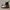 Dr Martens Bianca Chelsea Boots photo 6
