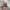 SALOMON S-LAB XT6 photo 6