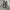 SALOMON S-LAB XT6 photo 3