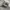 SALOMON S-LAB XT6 photo 1