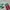 Rohto Mentholatum Medicated Lip Stik Xd Japan | Rohto Lip Ba