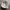 GUESS photo 4