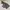 Jacket winter mountain parka MlB yankess goose down photo 1