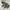 Jacket winter mountain parka adidas goose down bulu angsa photo 1