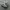 nike p-6000 photo 1