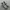 nike p-6000 photo 3