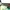 Longchamp Le Pliage Floral LLH Tote photo 5