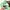 Longchamp Le Pliage Floral LLH Tote photo 3