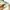 Longchamp Le Pliage Floral LLH Tote photo 4