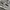 Nike P6000 photo 2