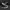 Converse 70s Black White photo 3