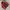 Jacket winter outdoor tuscora gorpcore goose down bulu angsa photo 6
